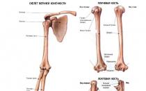 Последствия перелома лучевой кости со смещением и правильная реабилитация